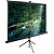 Экран CACTUS TriExpert CS-PSTE-220&amp;times;165-BK