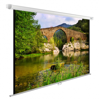 Экран CACTUS WallExpert CS-PSWE-220&amp;times;165-WT белый
