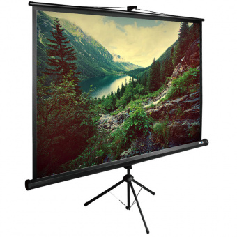Экран CACTUS TriExpert CS-PSTE-220&amp;times;220-BK