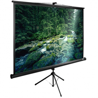 Экран CACTUS TriExpert CS-PSTE-220&amp;times;165-BK